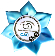 CAC - Národní výstava MB 2024